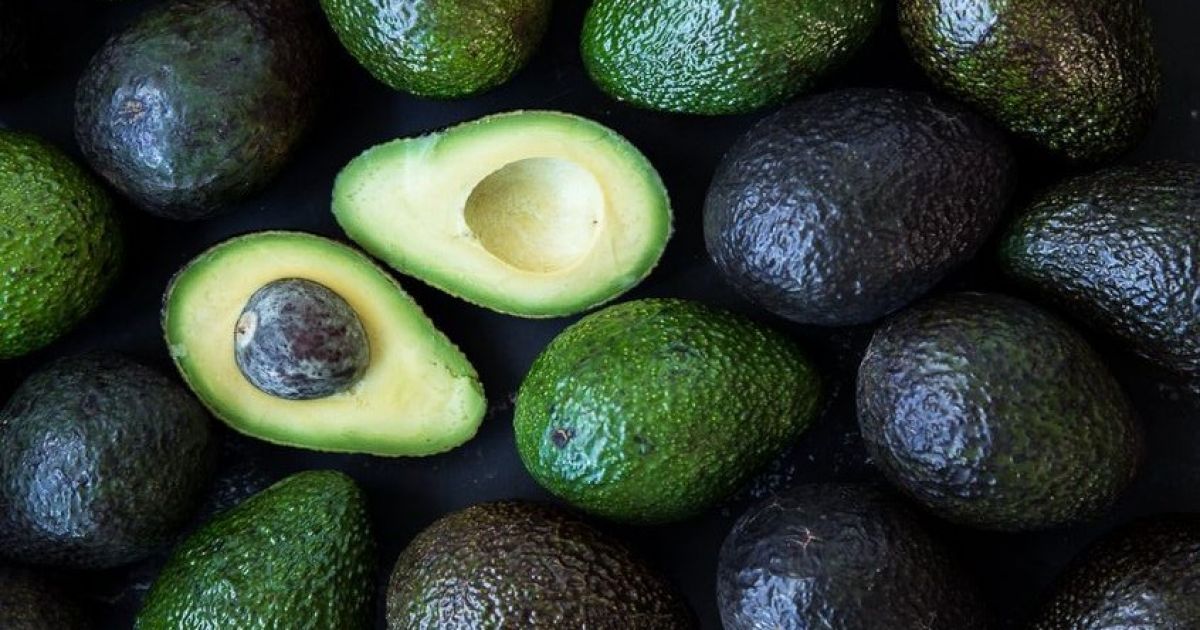 How To Grow Avocados | Gardening Blog | Baileys Fertilisers - Baileys ...