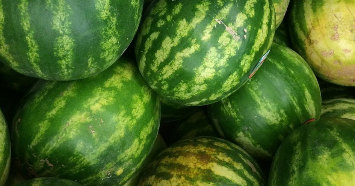 When Summer Hits There S Nothing Better Than A Super Juicy Watermelon To Cool Down Watermelon